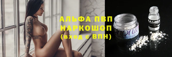 ГАЛЛЮЦИНОГЕННЫЕ ГРИБЫ Горно-Алтайск