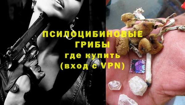 герыч Горняк